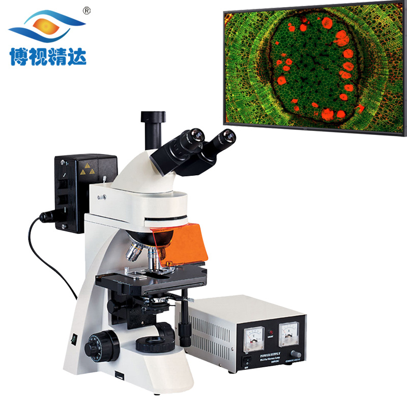 BD-YG3002正置荧光显微镜 精子分析 科研