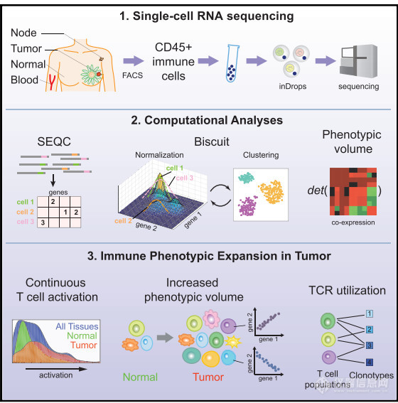2018单细胞测序应用领域突破性成果盘点