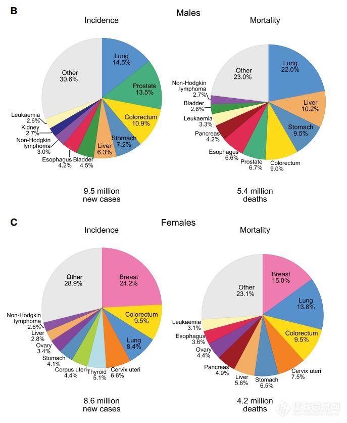 美国、中国、全球！三大癌症报告出炉，中国表现“抢眼”