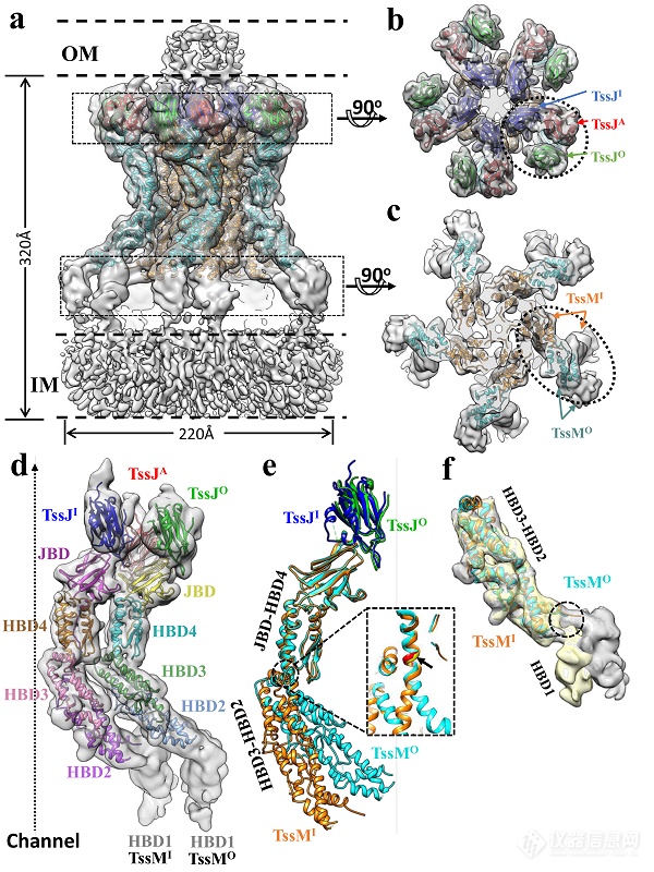 Cell Research：李雪明团队用冷冻电镜技术论文报道VI型分泌系统膜结构