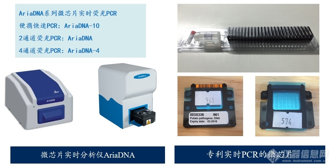 山羊绒和绵羊毛的DNA定量分析国标已然实施，LUMEX微芯片实时荧光定量PCR悄然助力！