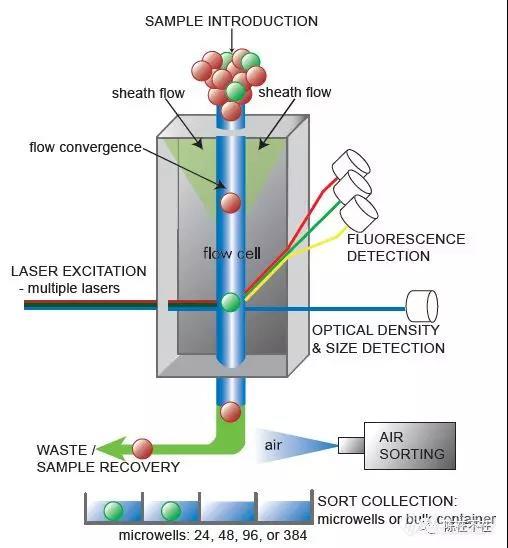 浅谈流式细胞仪十大发展趋势