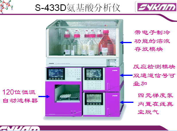 德国sykam全自动氨基酸分析仪S433D赛卡姆（北京）科学仪器有限公司