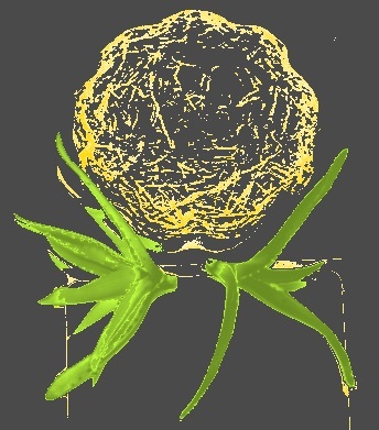 SpectraScan-R根系光谱扫描成像分析系统