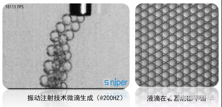 数字PCR新势力，振动注射数字PCR仪了解一下