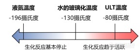 赛默飞实验室产品与服务助理地球去“流浪”