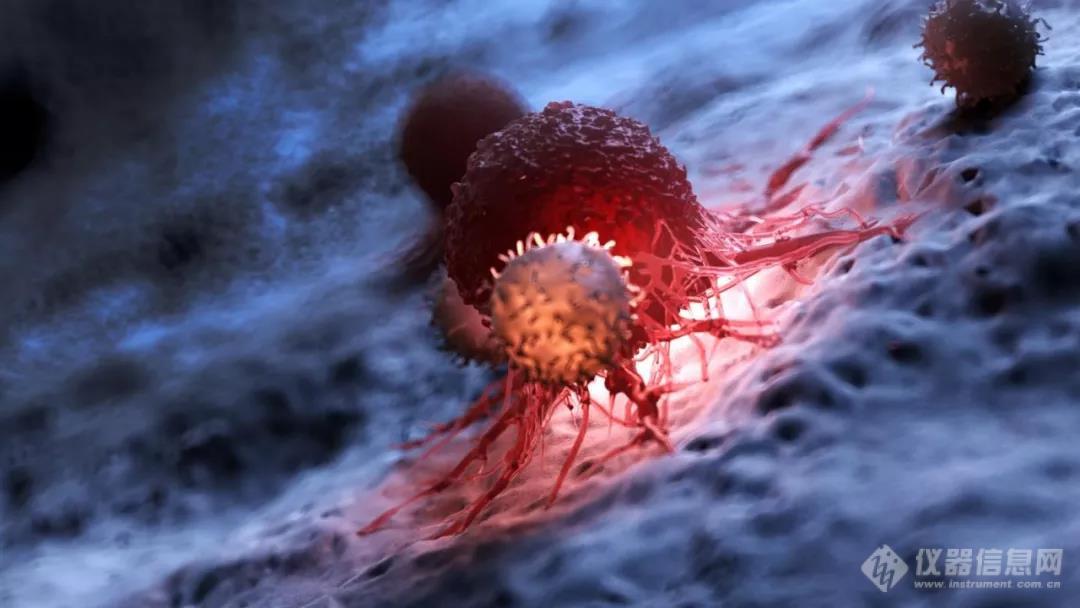 CAR-T细胞疗法突破性进展 Nature：解决T细胞衰竭问题