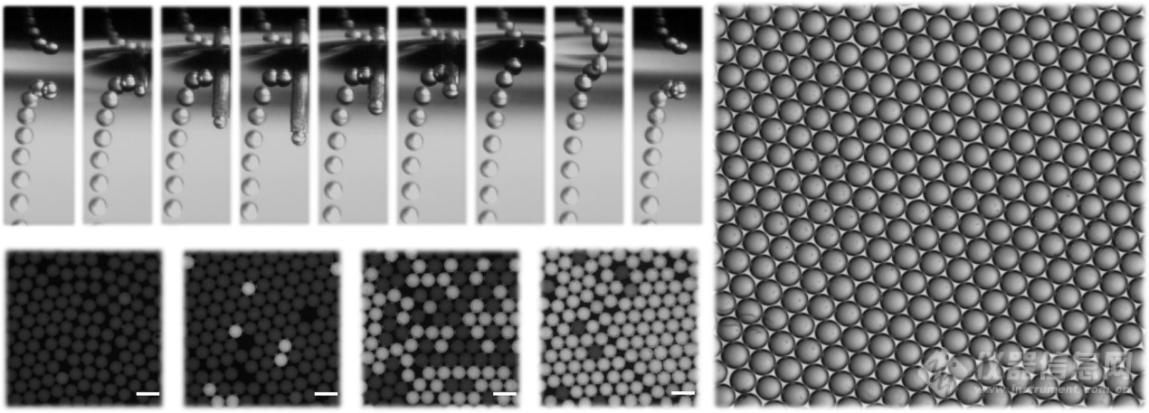 微滴生成不落窠臼 国产数字PCR技术迈进一步——访中科院微生物所杜文斌研究员