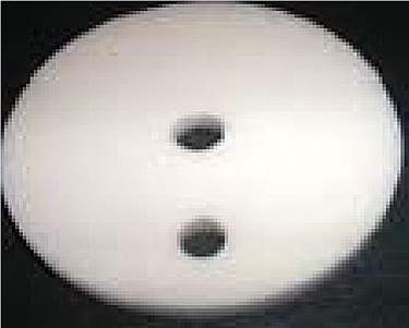 SP9 Alumina Disc  |  401316413841