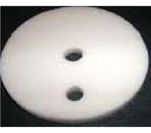 SP9 Alumina Disc  |  401316413841