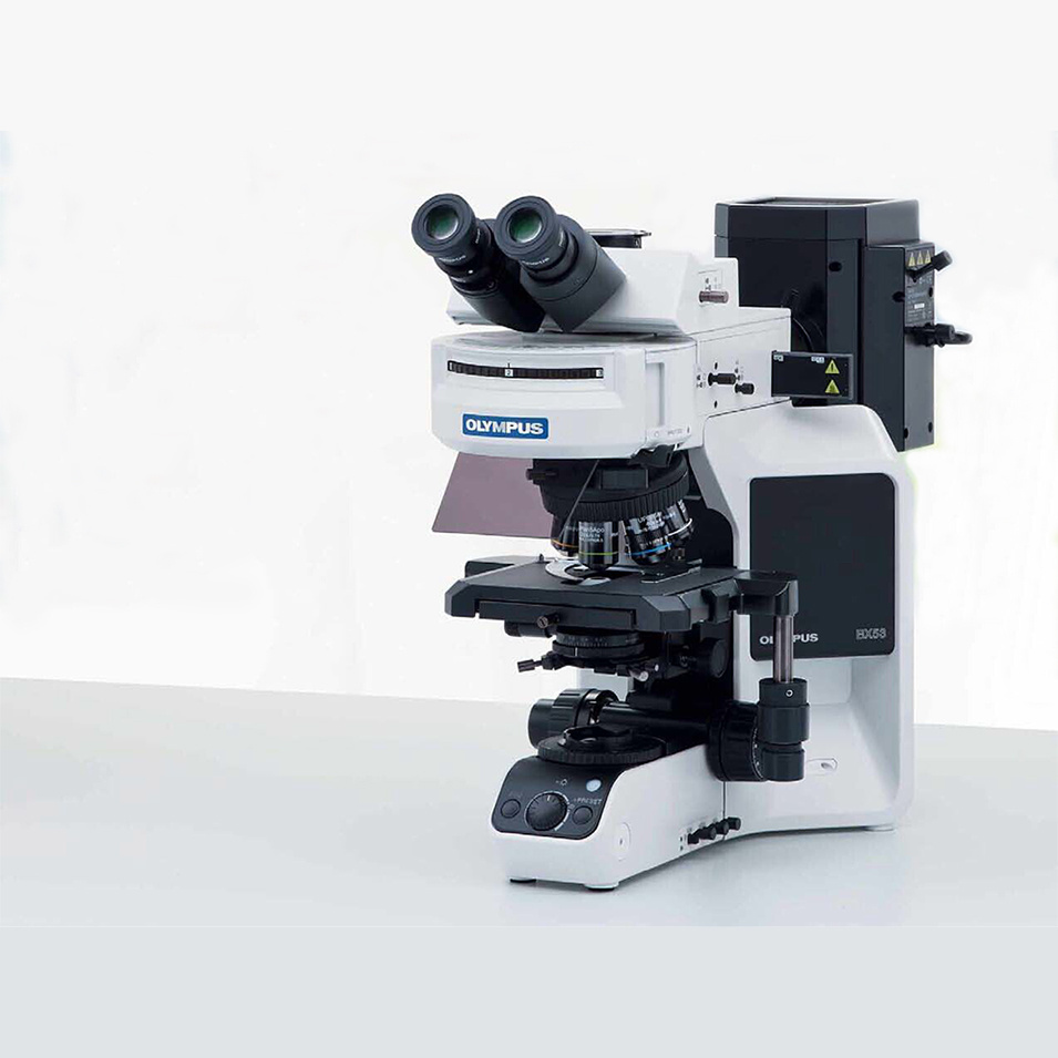 奥林巴斯荧光显微镜BX53