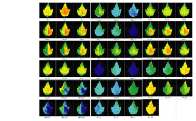 Hipoint 植物活体成像仪/3D/GFP/RGB/荧光活体成像