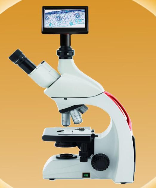 徕卡正置生物显微镜DM500