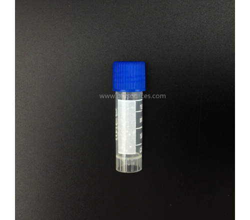 冻存管，1.8mL，PP,可立，螺口，500pcs，AB056408 