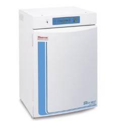 Forma™ 310直热式CO2培养箱