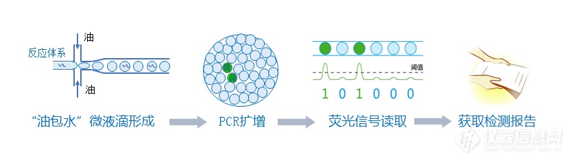 微滴数字PCR原理图.png