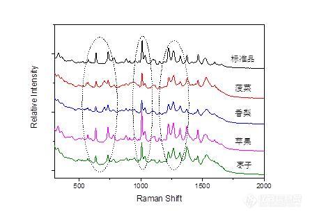 如海光电┠上海慕尼黑光博会新品首现！