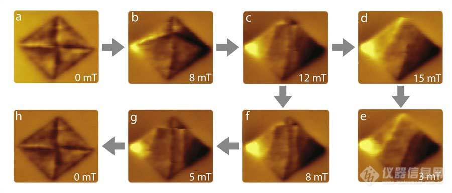 低温强磁场磁力显微镜与共聚焦显微镜在微结构缺陷研究中的科研成果