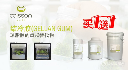 Gellan gum.jpg