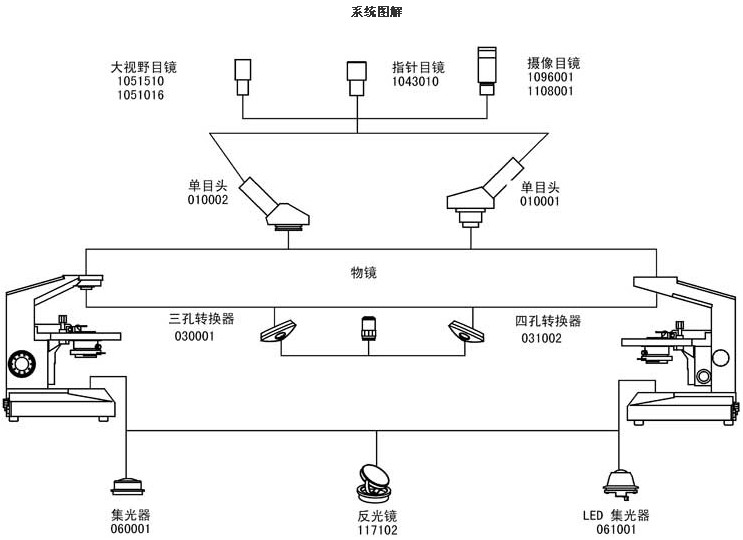 教学生物显微镜