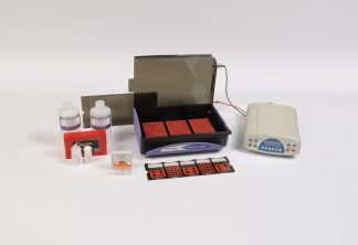 高效专业PARP药理II代试剂盒