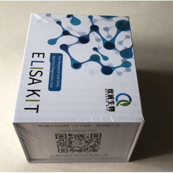人电子转移黄素蛋白α肽(ETFα) ELISA Kit