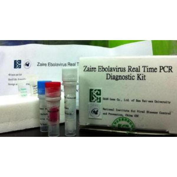 类鼻疽伯克霍尔德菌探针法荧光定量PCR试剂盒