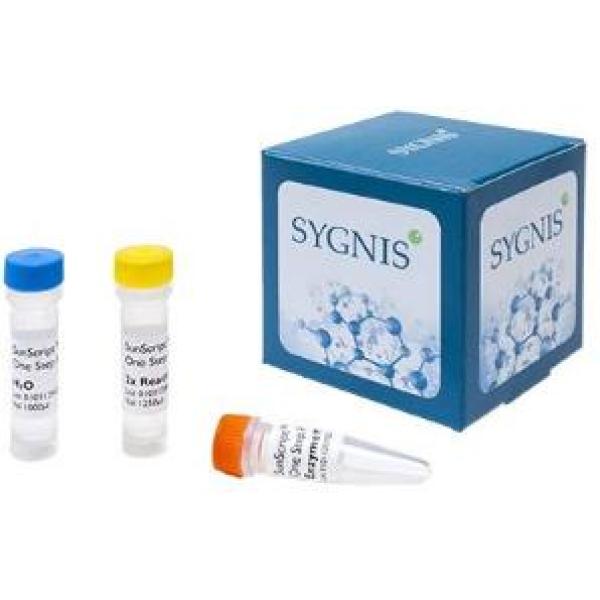 黄热病病毒疫苗株17DRT-PCR试剂盒