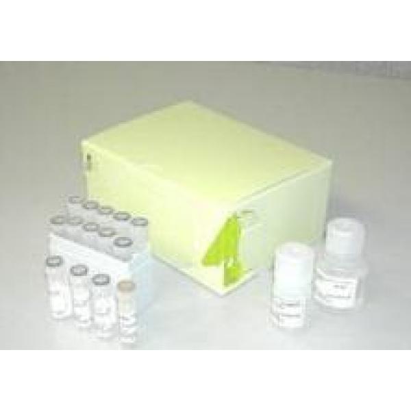 马可尼小囊虫探针法荧光定量PCR试剂盒