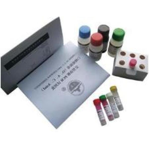克氏锥虫染料法荧光定量PCR试剂盒