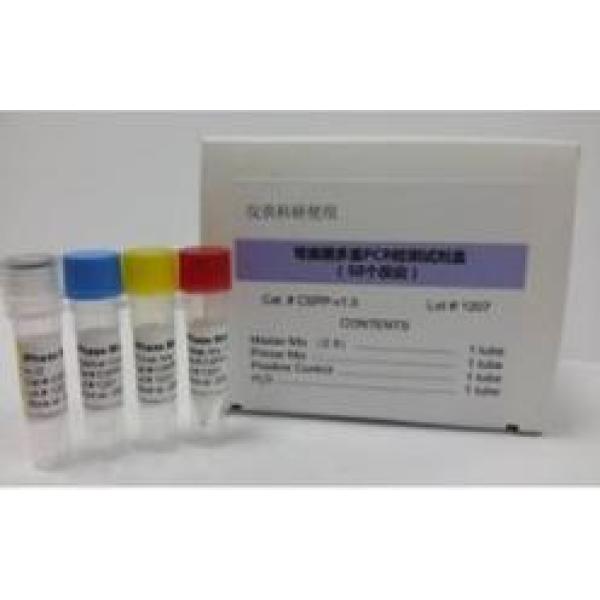 白水河病毒染料法荧光定量RT-PCR试剂盒