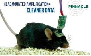 大小鼠脑电/肌电记录系统(在体）