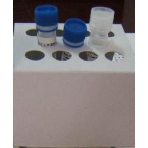 斑点叉尾鮰病毒染料法荧光定量PCR试剂盒