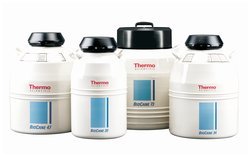 Thermo Scientific™ Bio-cane™ 系列液氮罐