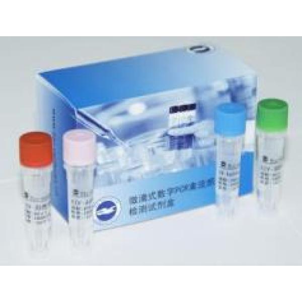 刚果嗜皮菌探针法荧光定量PCR试剂盒