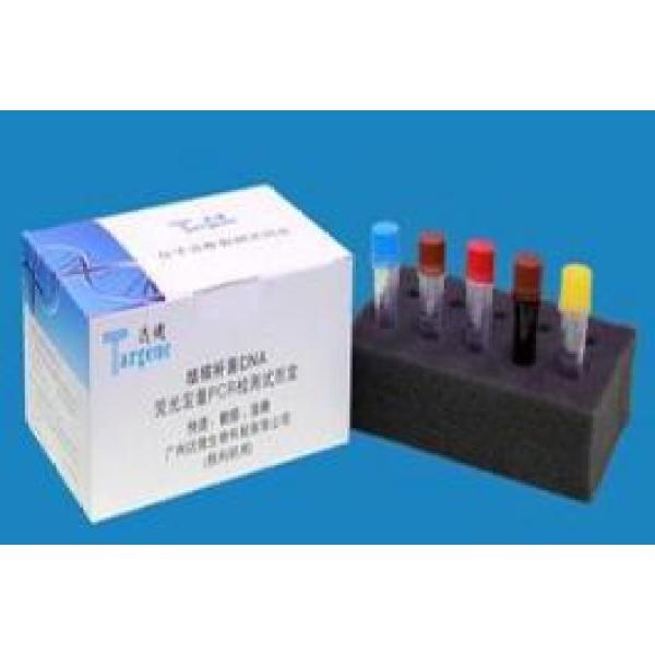 刚果锥虫染料法荧光定量PCR试剂盒