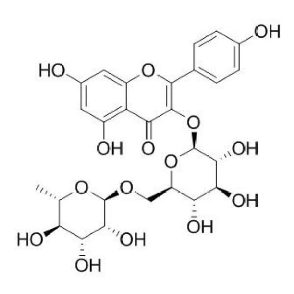 山奈酚-3-O-芸香糖苷 CAS:17650-84-9