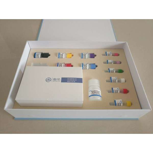人白细胞介素6（IL-6）ELISA试剂盒