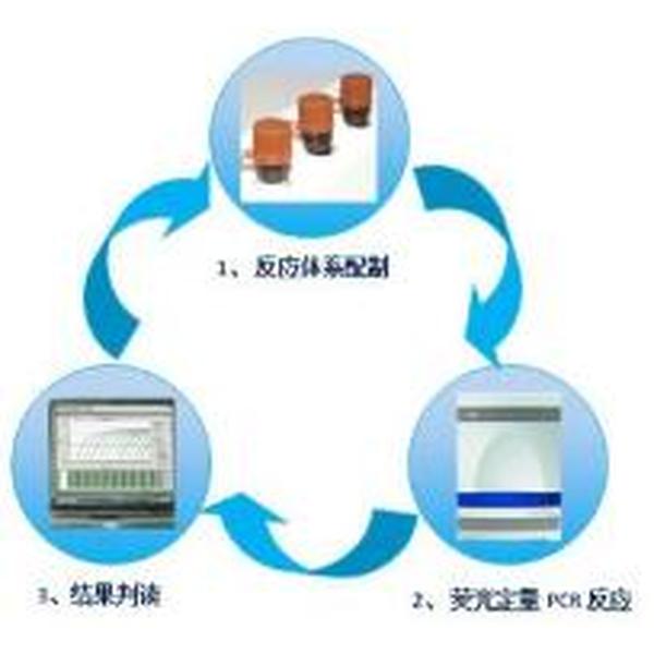 人偏肺病毒染料法荧光定量RT-PCR试剂盒