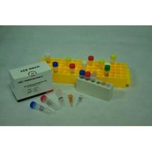 禽沙门氏菌PCR试剂盒