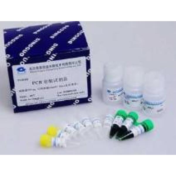 絮状表皮癣菌染料法荧光定量PCR试剂盒