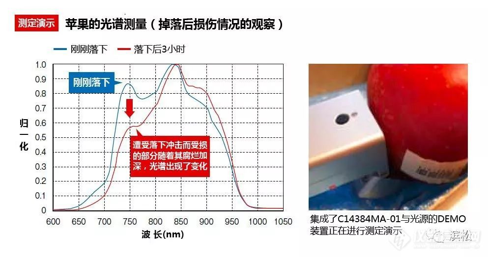 这只近红外灵敏光谱仪，还没一毛硬币大！