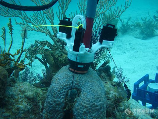 UNCW Center for Mari发布珊瑚和其它底栖基质类型原位代谢测量系统 CISME新品