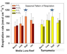 UNCW Center for Mari发布珊瑚和其它底栖基质类型原位代谢测量系统 CISME新品
