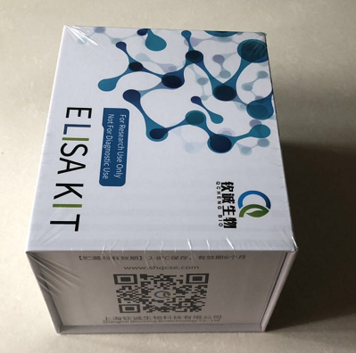 人硫酸皮肤素差向异构酶(DSE) ELISA Kit