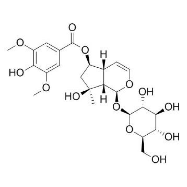 6-O-丁香酰筋骨草醇 CAS:144049-72-9