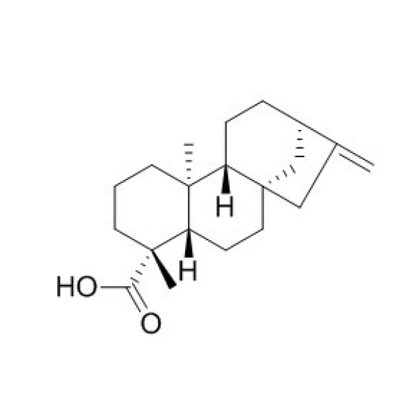 异贝壳杉烯酸 CAS:6730-83-2