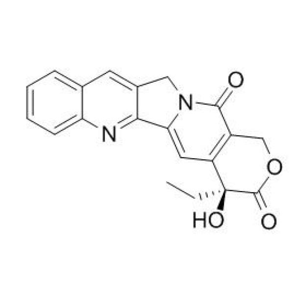 喜树碱 CAS号:7689-03-4