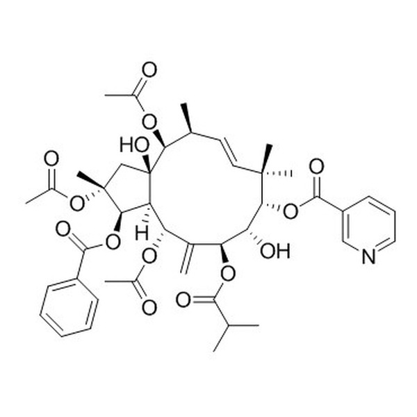 麻风树碱3 CAS:210108-87-5