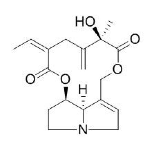 千里光非灵 CAS:480-81-9